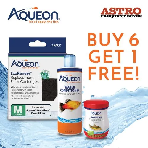 Promotion Image