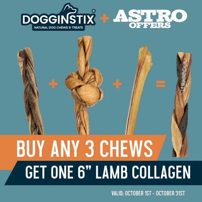 Promotion Image