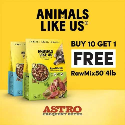 Promotion Image