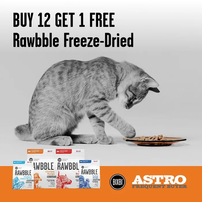 Promotion Image